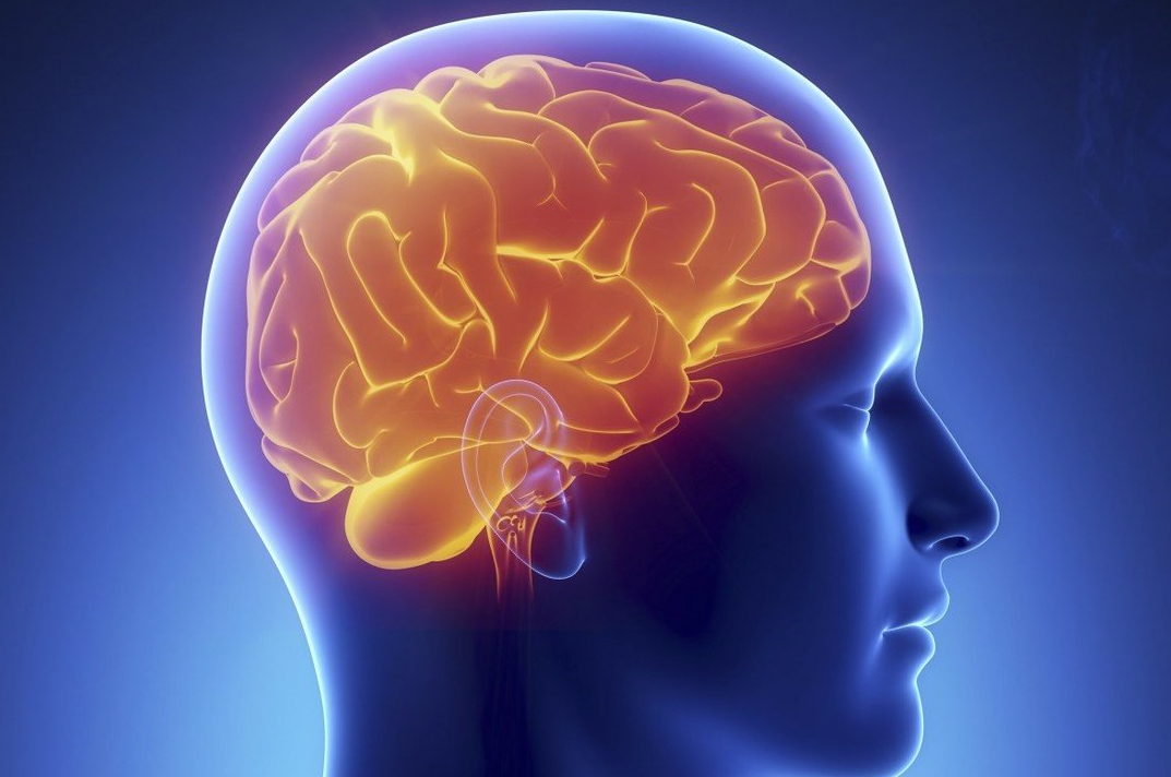 Cerebral Abscess can damage Brain Functions